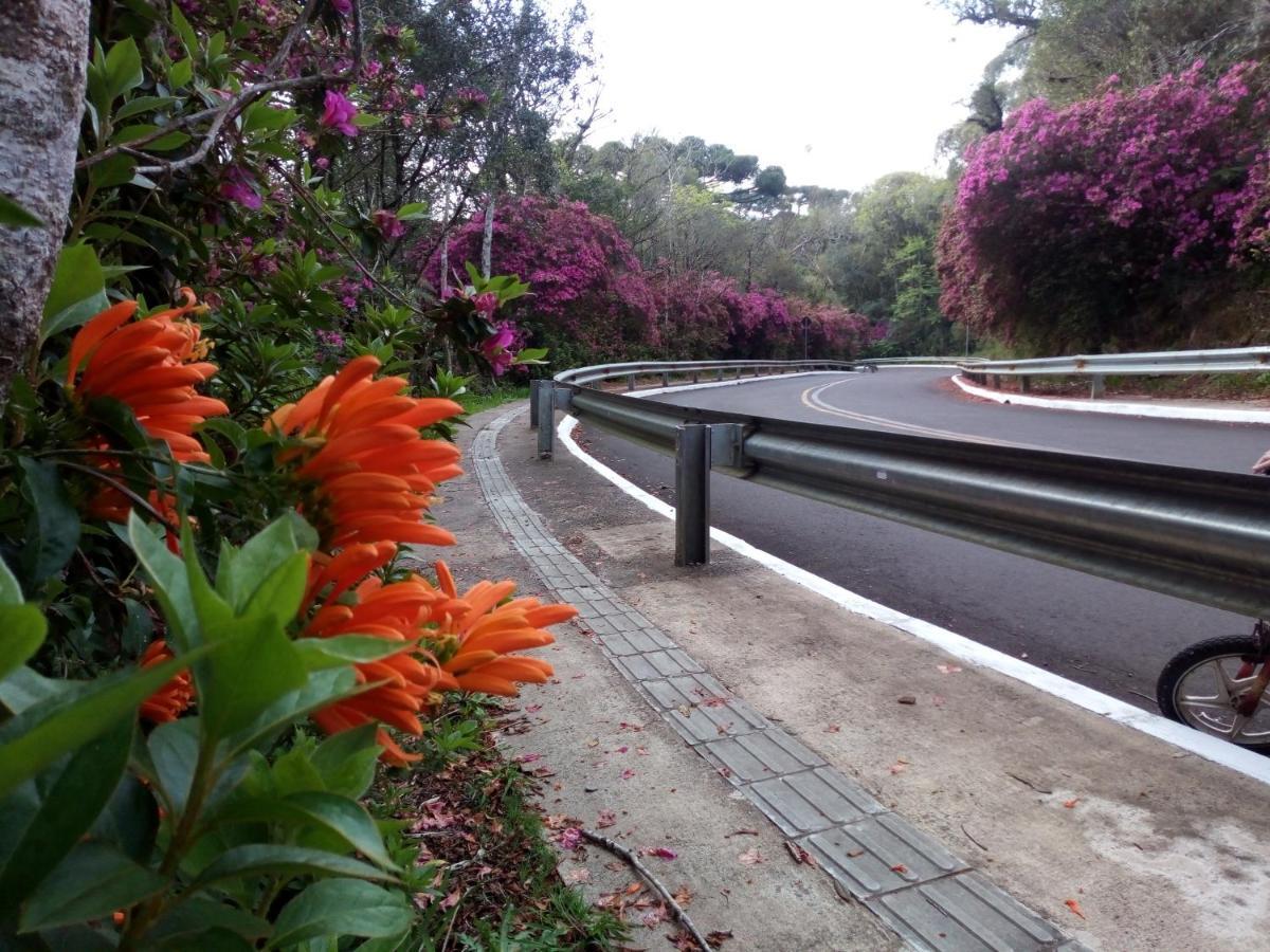 Chale Martinho Villa Gramado Buitenkant foto