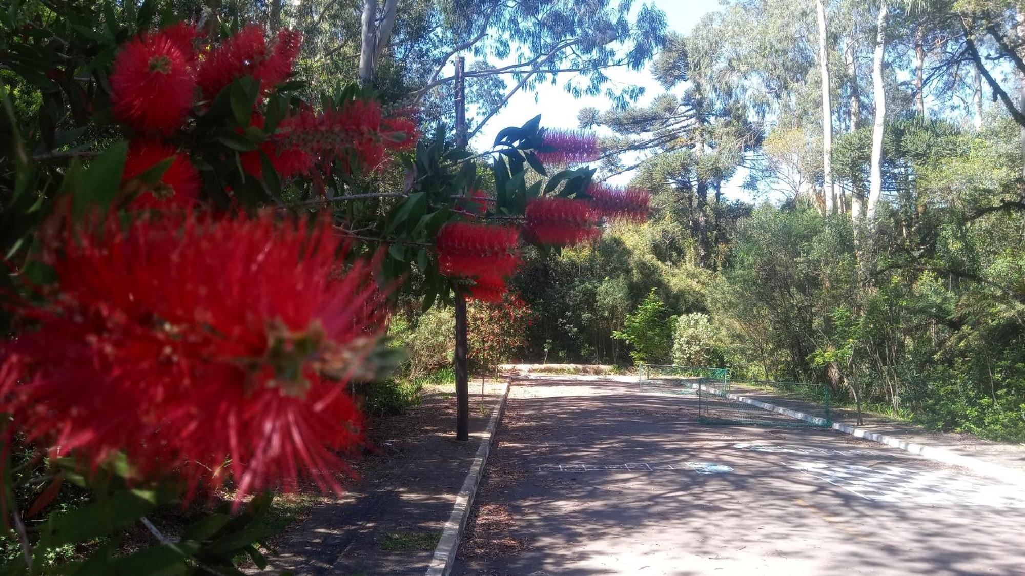 Chale Martinho Villa Gramado Buitenkant foto